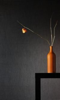 Babel (beta 2) - Accueil