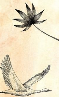 Babel (beta 2) - Radio